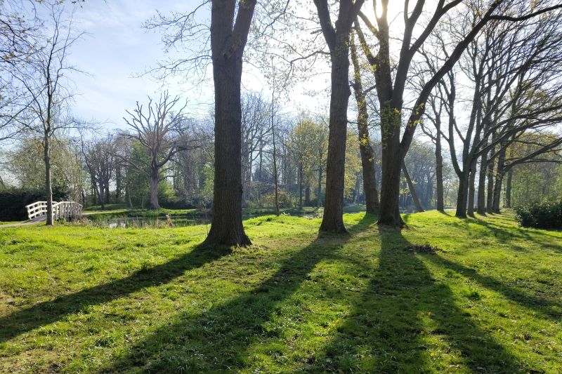 De eerste aardappel van Friesland gepoot in Joure?