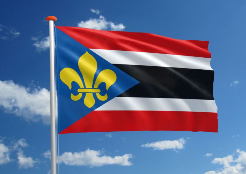 De vlag