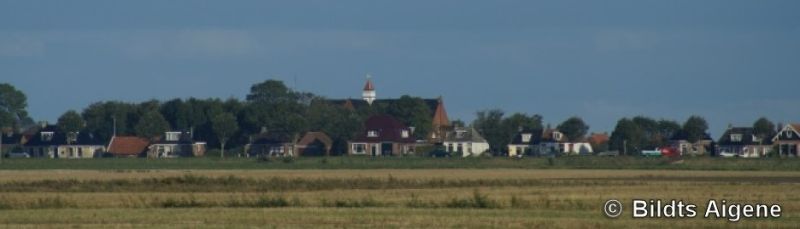 Nij Altoenae - geschiedenis